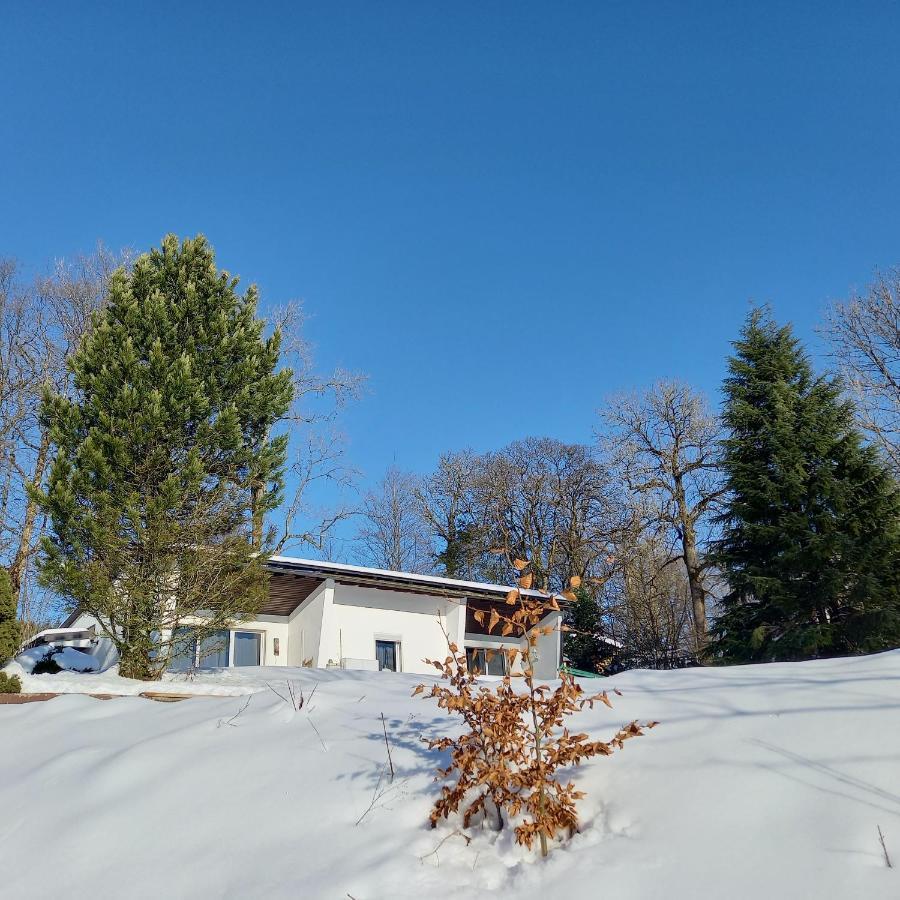 Adbs Ferienhaus Winterberg Exteriör bild